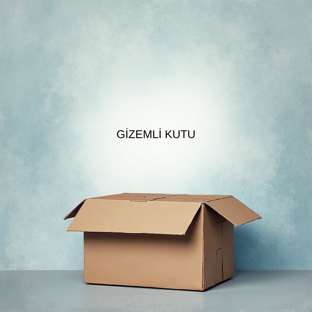 Ticaret Bakanlığı "Gizemli Kutu" Satışlarını Durdurdu - E-Ticaret Haberleri kategorisinden